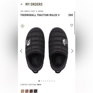 Size 8 skims north face traction mules